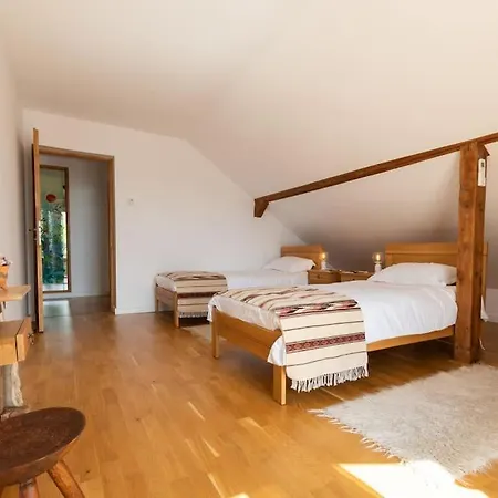 Charming Two Bedrooms 시기쇼아라